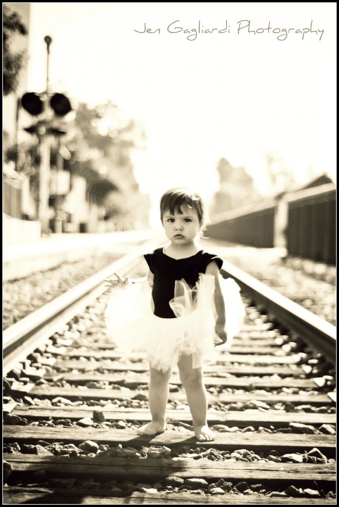 SAM train BLOG