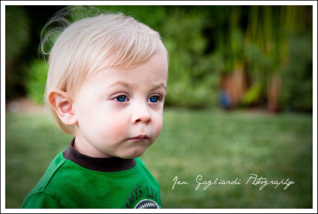 vincent(2)